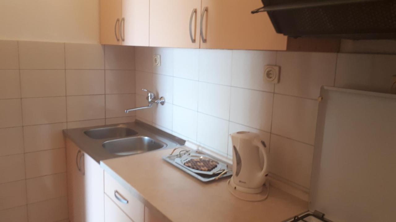 Apartment Slavka